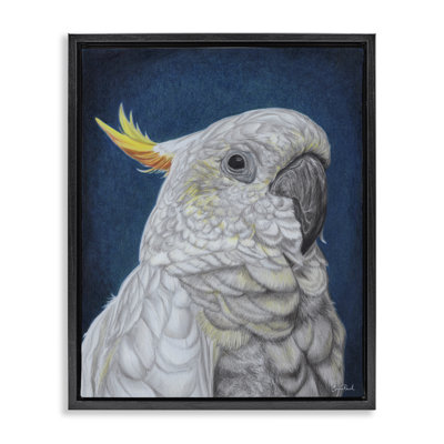 Traditional Cockatoo Visage Gold Framed Floater Canvas Wall Art by Connie Resch