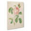 Shrub Rose In Pink by Pierre-Joseph Redoute - Wrapped Canvas-55318907