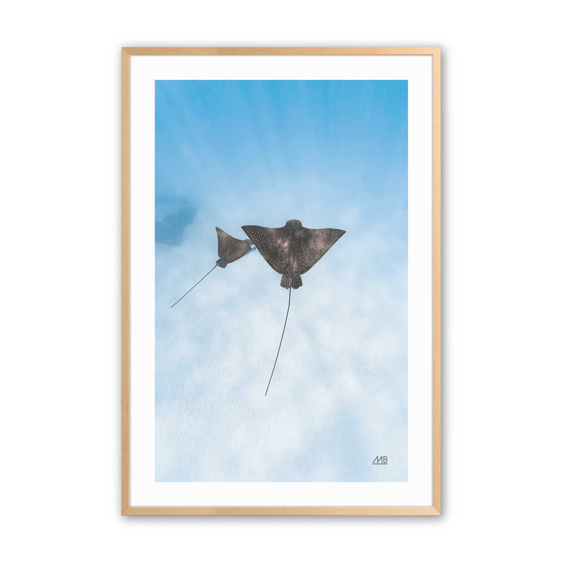 Dancing Rays en bleu , H 11 po x l 9 po, Érable brut