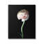 «Stupell Industries Ranunculus Flower», art mural sur toile par Debra Van Swearingen-91308136-91308133