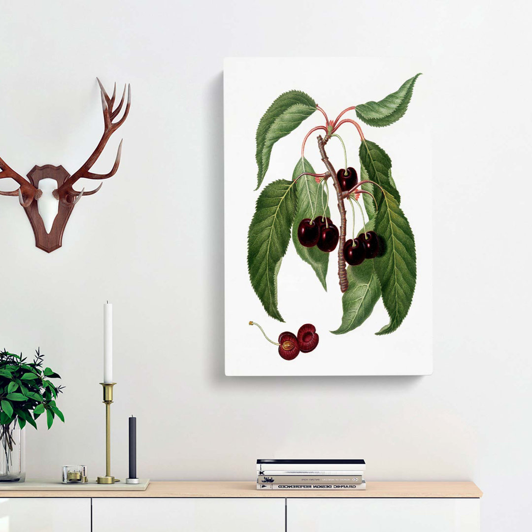 Hard-Fleshed Cherry Tree by Giorgio Gallesio - Wrapped Canvas