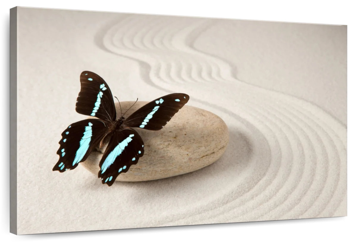 Zen Butrerfly Ebern Designs Zen Butterfly | Wayfair