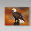 « the eagle », reproduction de peinture à l’huile sur toile tendue-31974372
