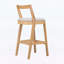 Chaises d'appoint d'intérieur, ensemble de 2-423066229