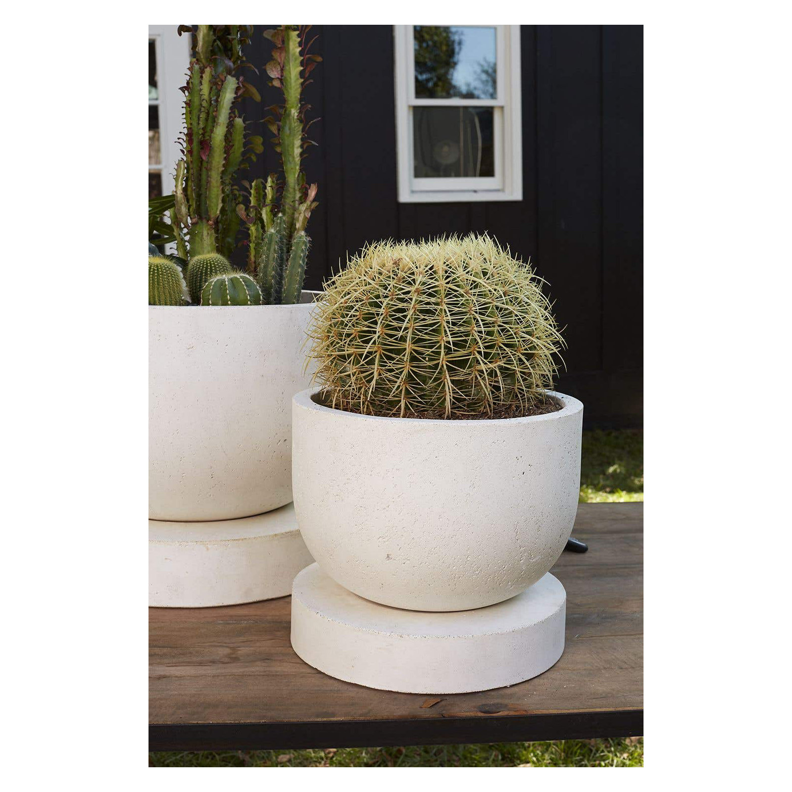 Icarus Handmade Ceramic Pot Planter, 11" H x 12" W x 12" D