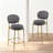 2-Pack Modern Velvet Bar Stools-80488503