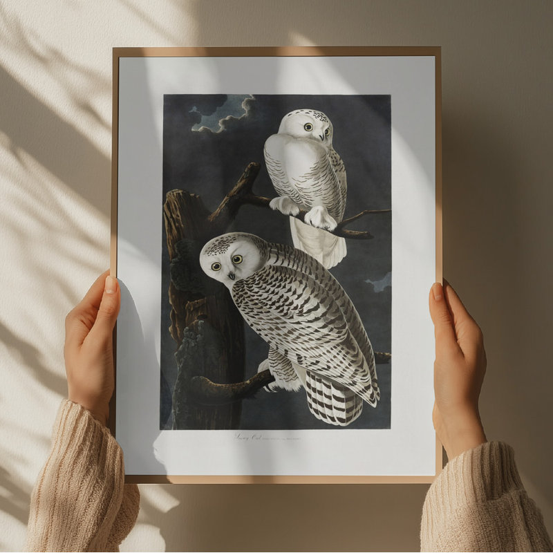 Wrapped Canvas Print, 50.8 cm H x 76.2 cm W