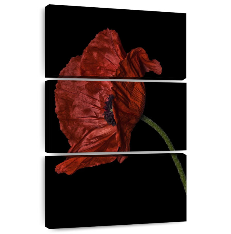 Harnek Curious Collections Poppy Red I, H 45 po x l 28 po