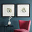 «Old Salt Shell I», ensemble de 2 reproductions d'art encadrées-2048829120-2048829127-2118285762
