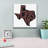 'Texas 2' by Art Licensing Studio Canvas Wall Art