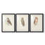 Petite chouette - impression encadrée sur mesure de qualité supérieure - 3 pièces-451118269-451118257