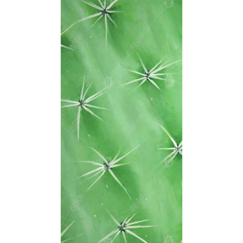 Cactus closeup - 24"x48" Framed canvas