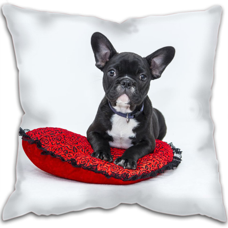 Cricklade Square Cushion