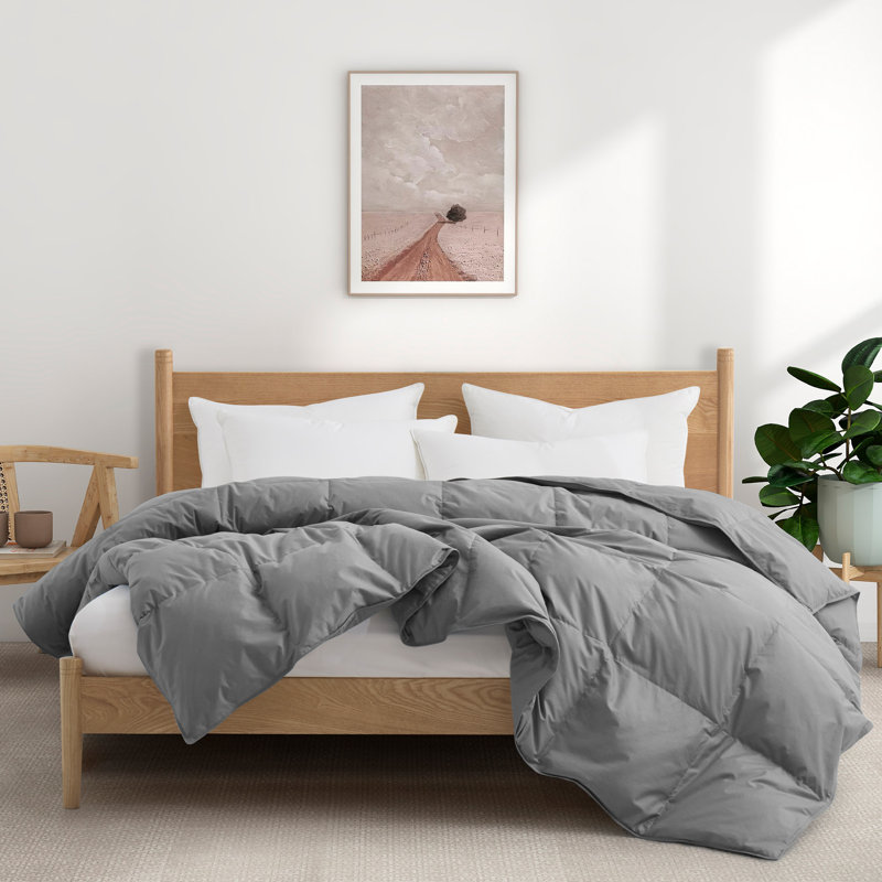 All Season Cotton Down Comforter/Duvet Insert, Gray, King Comforter