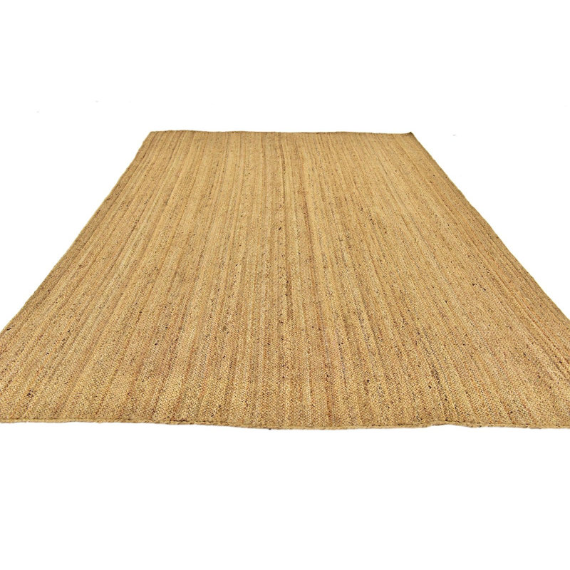 Tapis beige en jute / sisal tressé à la main Vinny Southwestern, Rectangle 6 pi 3 po x 9 pi 2 po