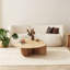 Carolea Coffee Table with Storage