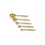 Gold Measuring Spoons - Set of 5