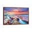 Hospital Reef La Jolla II 1 Piece Wall Art on Canvas-870866673-870866674
