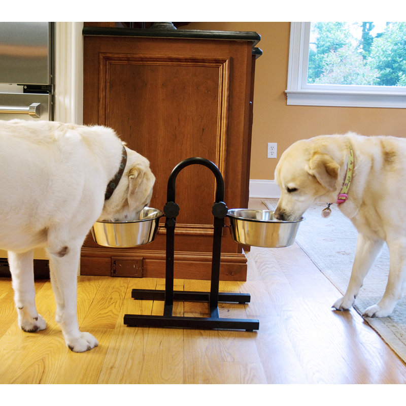 Diner pour animaux Dinahlee, 160 oz./20 tasses