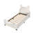 Kallel Upholstered Platform Bed-596159949