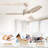 Norbu 47" 3-ABS-Blade Modern Indoor/Outdoor Ceiling Fan with Dimmable LED Lights, Remote Control-530572709