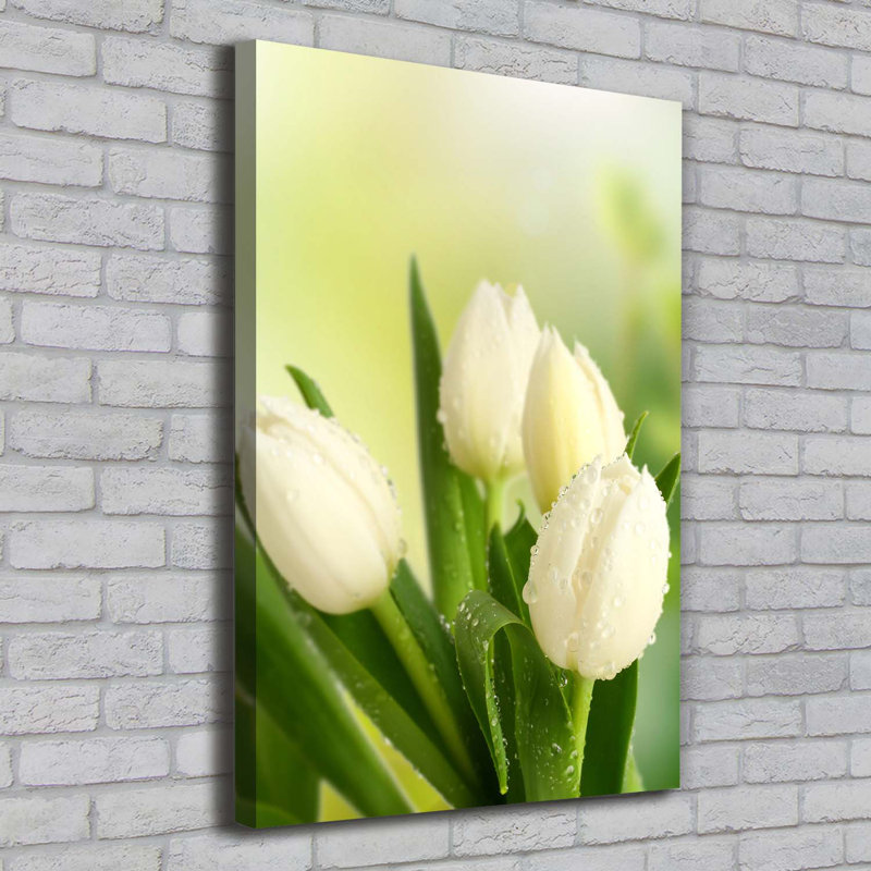 White Tulips - Wrapped Canvas Print