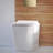 Concorde Back-To-Wall Toilet Bundle 0.8/1.6 GPF Dual Flush In Glossy White With Flush Plate-108927934
