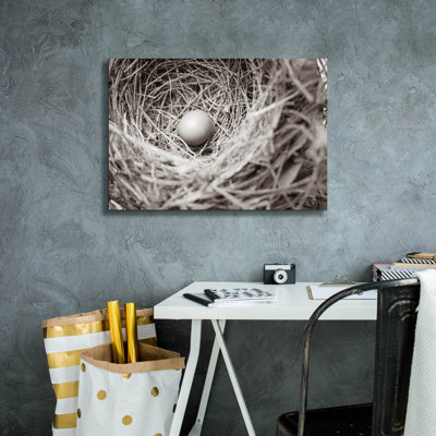 Epic Graffiti 'Nesting' by Nathan Larson Canvas Wall Art