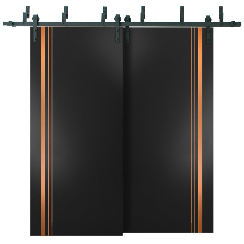 Porte de grange à panneaux en bois, Noir mat, 36 po x 84 po