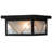 Glass Flush Mount