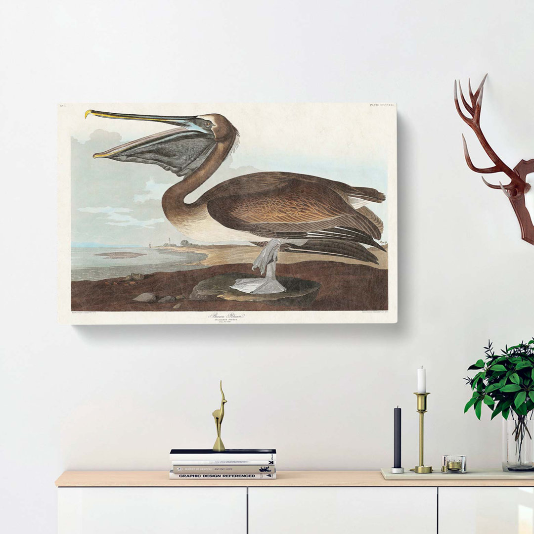 A Brown Pelican by John James Audubon - Wrapped Canvas