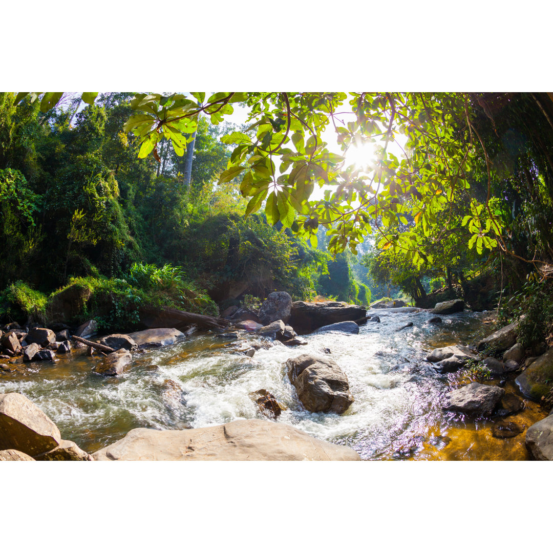 Stream In The Jungle von Zodebala - Kunstdrucke ohne Rahmen auf Leinwand