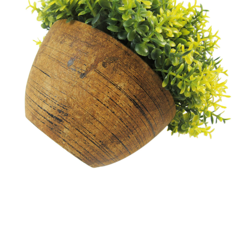 Plante grasse dans un panier, Jaune