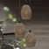 Silenus 1 - Light Single Dome Ceiling Pendant Lights