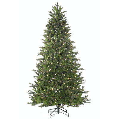 Carolina Lighted Pine Christmas Tree