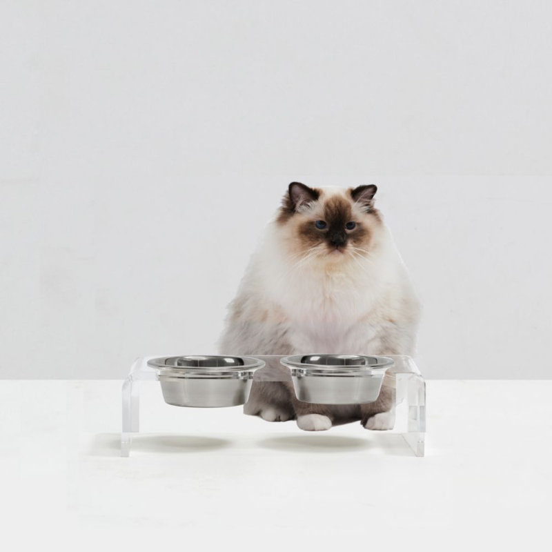 Small Clear Elevated Feeder with Silver Bowls, 3.5 cups