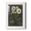 Ex-libris floral II mat encadré de qualité supérieure - prêt à être accroché-120478943-120478880