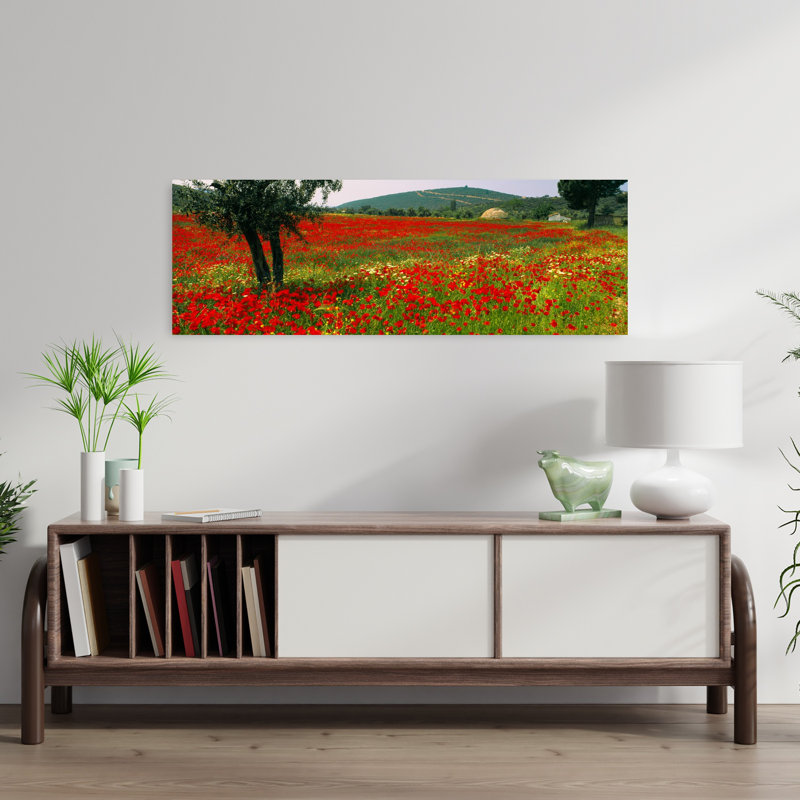 Red poppies in a field Turkey 1 Piece Wrapped Canvas Panoramic Wall Art, 30.48 cm H x 91.44 cm W