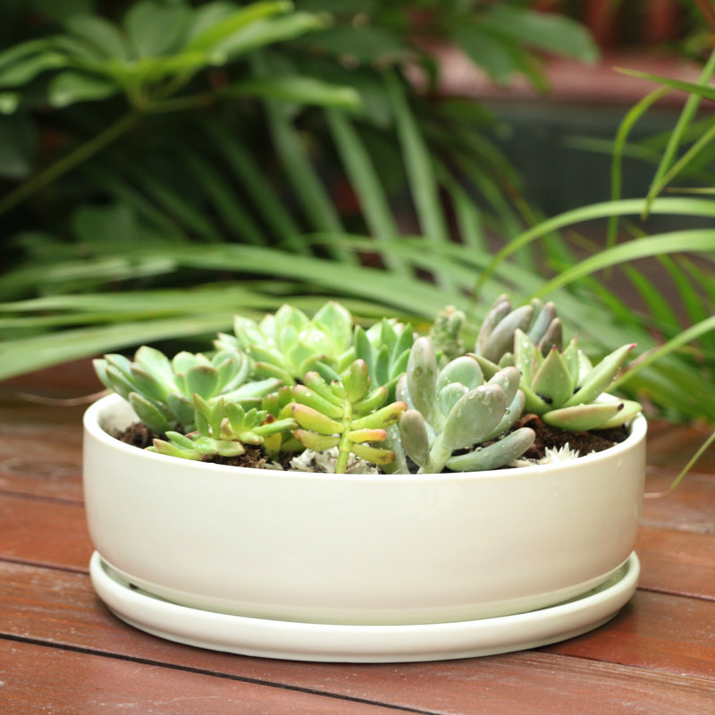  Planters Outdoor/indoor Minimalist Design Flower Planters With Drillable Drain Hole