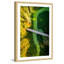 Single Picture Frame Print-1149631712