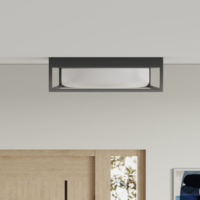 Binyamin 13 inch Caged Design Glass Flush Mount Light  Fixture