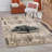 Botkins Rug-2005109882