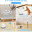 Interactive Cat Toys Automatic, 4 Games In Cat Laser Toy, 3 Speeds Hide&Seek Electronic Rechargeable Kitten Exercise Chasing Wand With Moving Feather, Realistic Slug, Colourful Cover