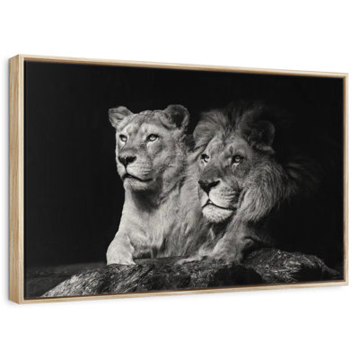 Lion And Lioness Mates