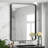 Eitzen Rectangle Wall Mirror High-Strength Tempered Glass and  Stainless Steels Framed Wall Mirror Accent Mirror-216028331-216028334