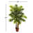 Areca Palm Tree with Real Touch Leaves