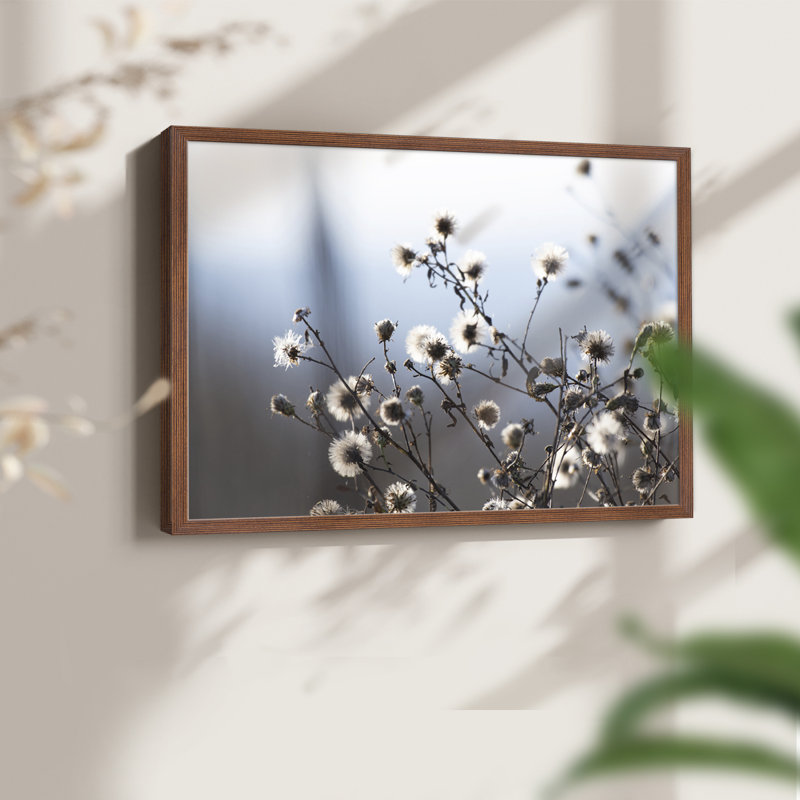 Spring Fluff -Framed Print - Restickable, 16" H x 20" W, Walnut
