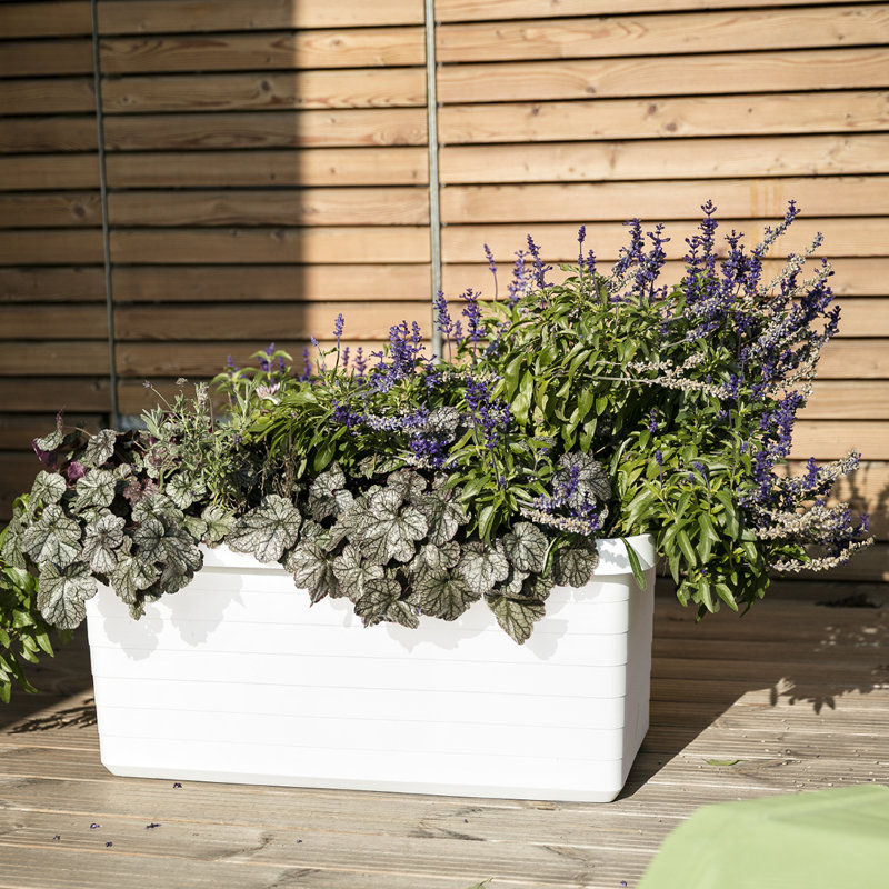 Kanisha Planter Box, White/Lime