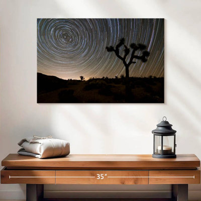 Harnek Star Trails à Joshua Tree