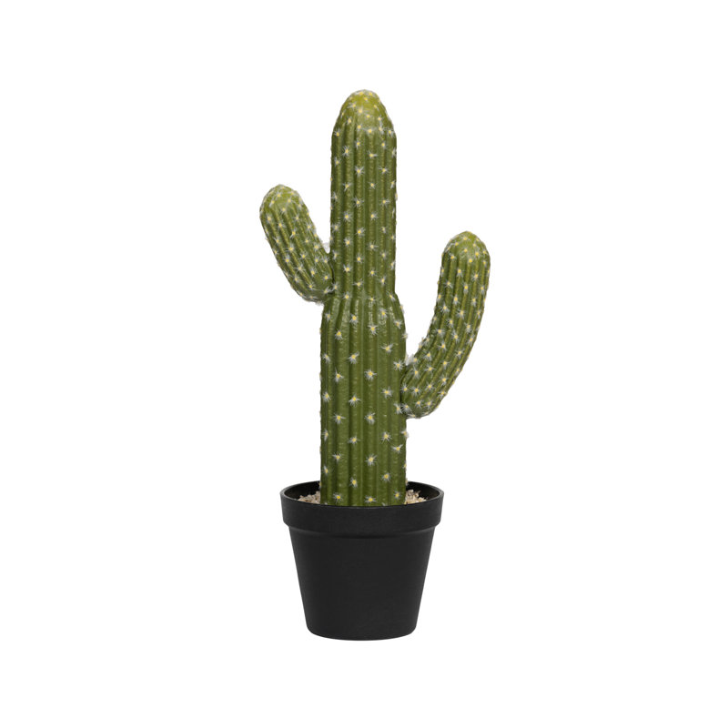 Cactus Saguaro S, vert